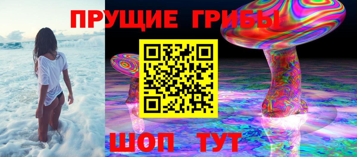 Псилоцибиновые грибы Magic Shrooms  Вход с VPN  Томск  Псилоцибиновые грибы Psilocybine cubensis 