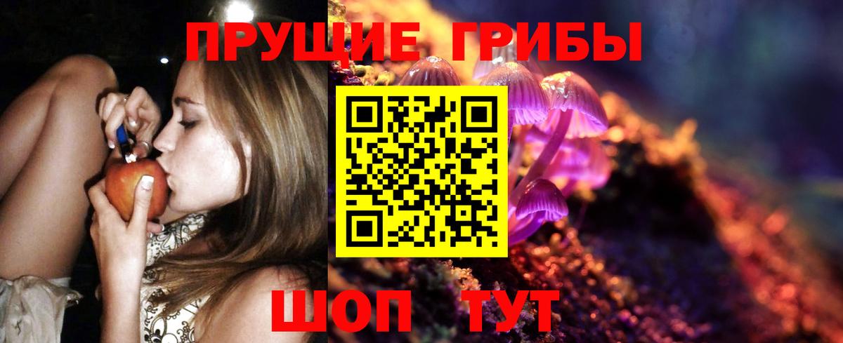Галлюциногенные грибы Psilocybine cubensis Томск